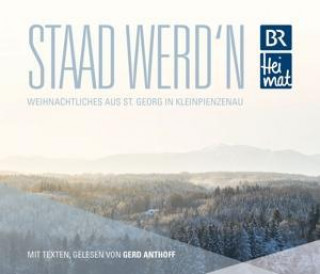 Audio Staad Werd'n Various