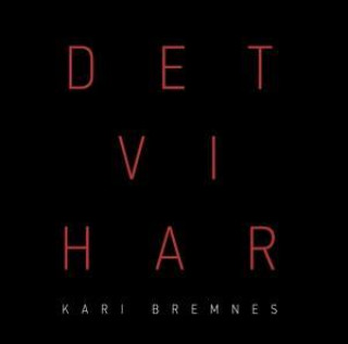 Audio Det vi har Kari Bremnes