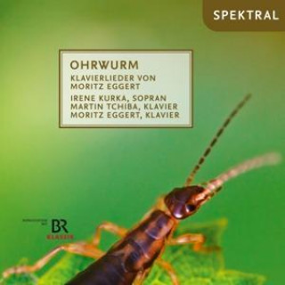 Audio Ohrwurm-Klavierlieder Kurka/Tchiba/Eggert