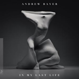 Audio In My Last Life Andrew Bayer