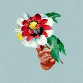 Audio Kingdoms In Colour Maribou State