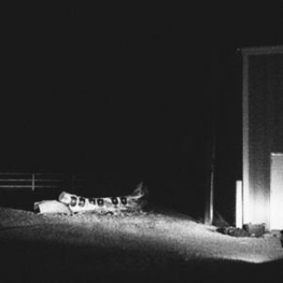 Zvok Last Building Burning Cloud Nothings
