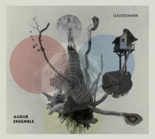 Audio Gästezimmer Augur Ensemble