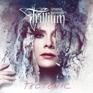 Audio Tectonic Amanda Somerville's Trillium