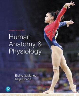 Könyv Human Anatomy & Physiology Elaine N. Marieb