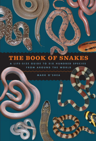 Könyv The Book of Snakes: A Life-Size Guide to Six Hundred Species from Around the World Mark O'Shea