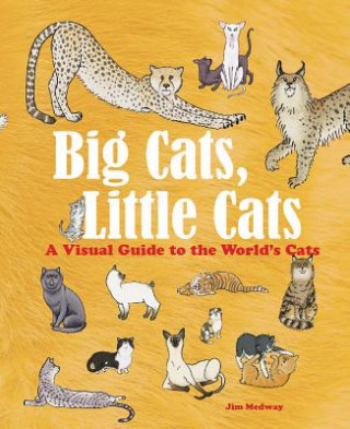 Kniha Big Cats, Little Cats: A Visual Guide to the World's Cats Jim Medway