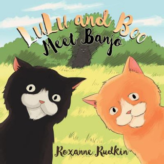 Książka LuLu and Boo Meet Banjo Roxanne Rudkin