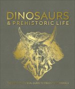 Könyv Dinosaurs and Prehistoric Life DK