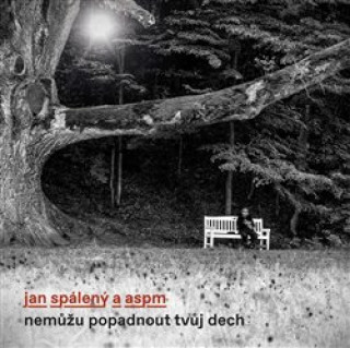 Knjiga Nemůžu popadnout tvůj dech ASPM