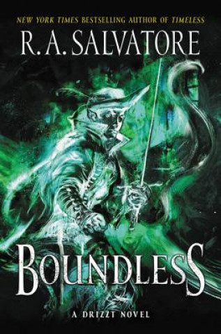 Kniha Boundless Robert Anthony Salvatore