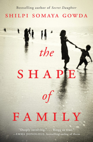 Книга Shape of Family Shilpi Somaya Gowda