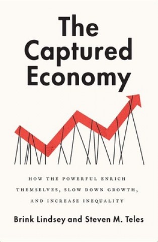 Kniha Captured Economy Lindsey