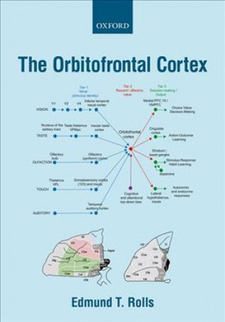 Βιβλίο Orbitofrontal Cortex Edmund (Oxford Centre for Computational Neuroscience) Rolls