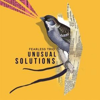 Zvok Unusual Solutions Fearless Trio