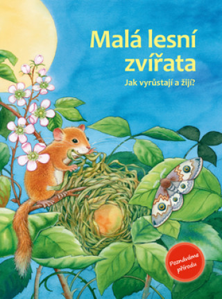 Książka Malá lesní zvířata 