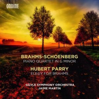 Hanganyagok Klavierquartett in g-moll/Elegy for Brahms Jaime Gävle Symphony Orchestra/Mart?n