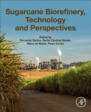 Carte Sugarcane Biorefinery, Technology and Perspectives Fernando Santos