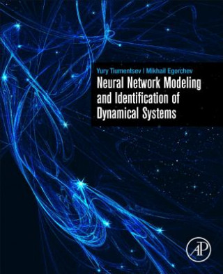 Könyv Neural Network Modeling and Identification of Dynamical Systems Tiumentsev