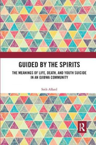 Knjiga Guided by the Spirits Allard
