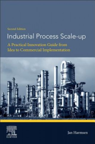 Kniha Industrial Process Scale-up Harmsen