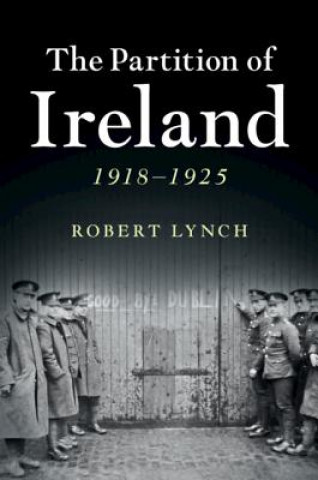 Carte Partition of Ireland Robert Lynch