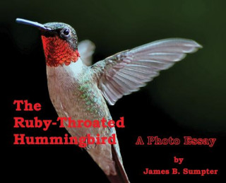 Buch Ruby-throated Hummingbird JAMES B SUMPTER