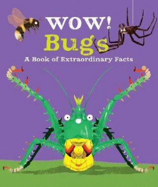 Kniha Wow! Bugs Jacqueline (Editorial Director) McCann