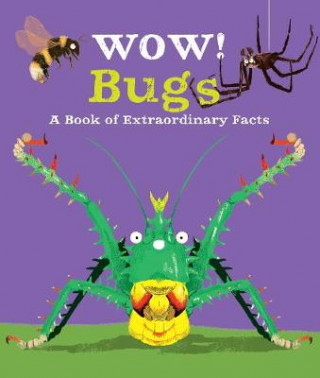 Libro Wow! Bugs Jacqueline (Editorial Director) McCann