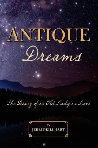 Kniha Antique Dreams Jerri Brillhart