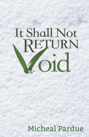 Buch It Shall Not Return Void Micheal Pardue