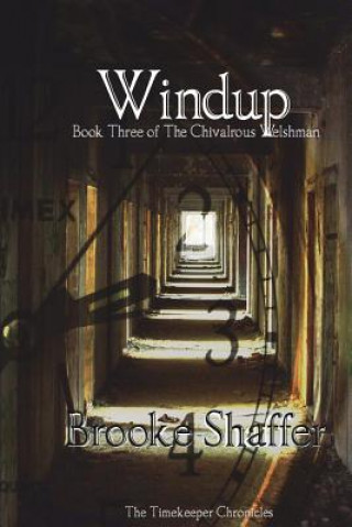 Knjiga Windup Brooke M Shaffer