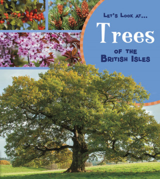 Kniha Trees of the British Isles Lucy Beevor