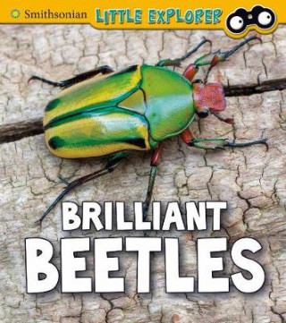 Livre Brilliant Beetles Melissa Higgins