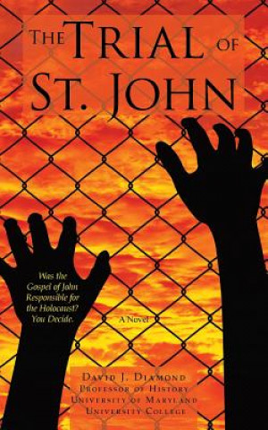 Könyv Trial of St. John David J Diamond