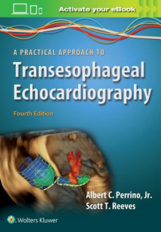 Kniha Practical Approach to Transesophageal Echocardiography Perrino Reeves