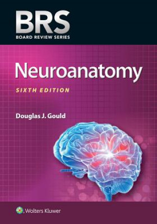 Książka BRS Neuroanatomy Douglas J. Gould