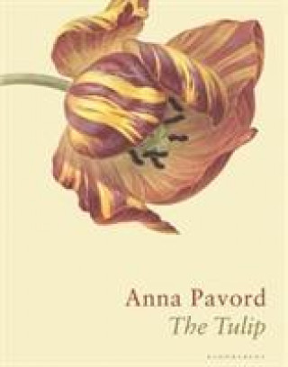 Book Tulip PAVORD ANNA
