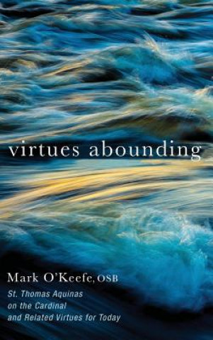 Книга Virtues Abounding Mark Osb O'Keefe