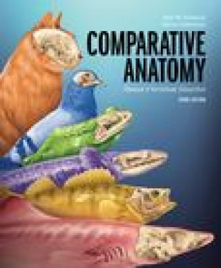 Book Comparative Anatomy: Manual of Vertebrate Dissection Dale W Fishbeck