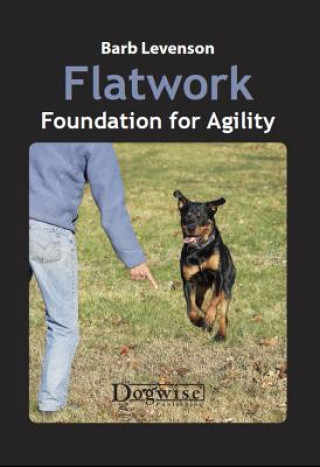 Kniha Flatwork: Foundation for Agility Barb Levenson