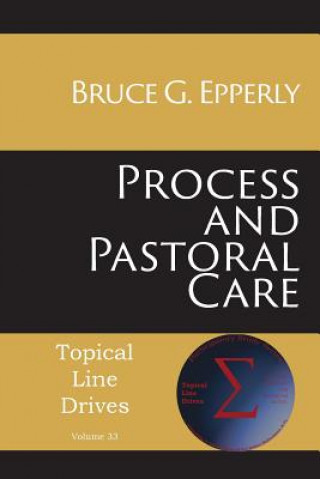 Livre Process and Pastoral Care Bruce G Epperly