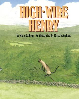 Könyv High-Wire Henry Mary Calhoun