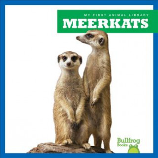 Livre Meerkats Penelope Nelson