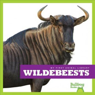 Book Wildebeests Penelope Nelson