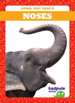 Buch Noses Jenna Lee Gleisner
