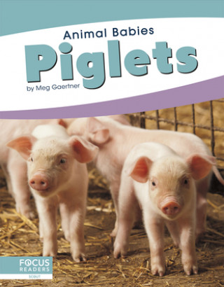 Knjiga Animal Babies: Piglets Meg Gaertner