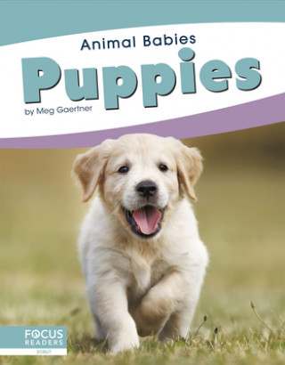 Carte Animal Babies: Puppies Meg Gaertner