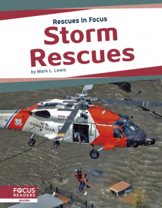 Book Rescues in Focus: Storm Rescues Mark L. Lewis
