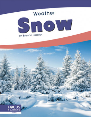 Knjiga Weather: Snow Brienna Rossiter